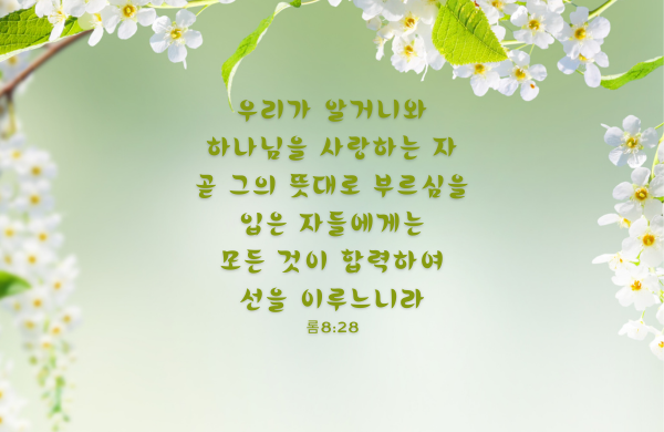 l_banner